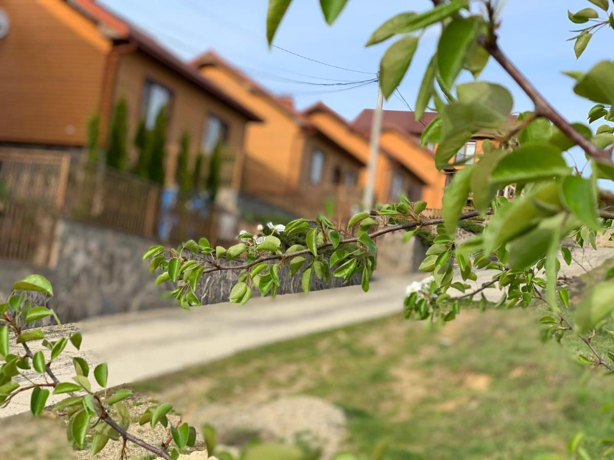 Mini Hotel Solnce Karpat Polyana  Zewnętrze zdjęcie
