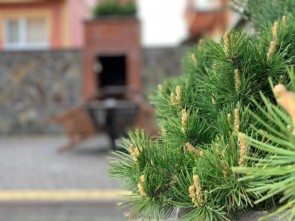 Mini Hotel Solnce Karpat Polyana  Zewnętrze zdjęcie